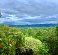 Daintree Manor BB - Winery Find