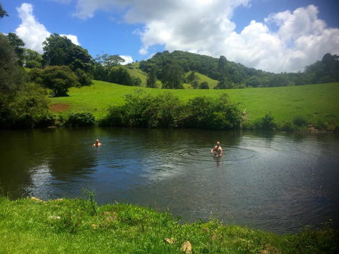Maleny Springs Farm - Winery Find 34