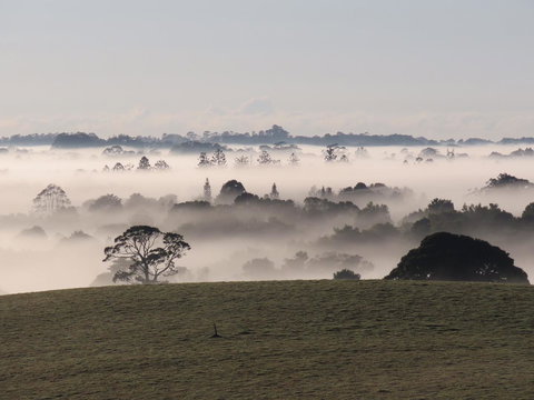 Maleny Springs Farm - Winery Find 22