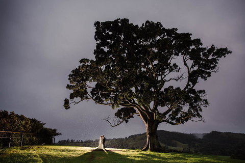 Maleny Springs Farm - Winery Find 16