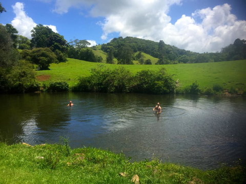 Maleny Springs Farm - Winery Find 28