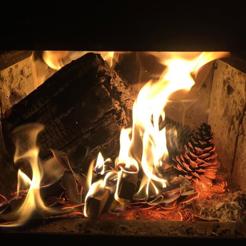 Maleny Springs Farm - Winery Find 13