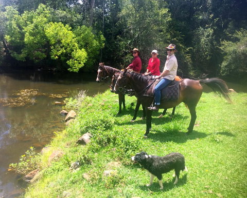 Maleny Springs Farm - Winery Find 33