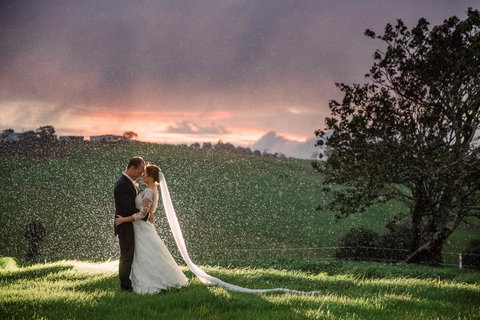 Maleny Springs Farm - Winery Find 11