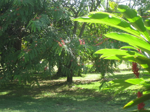 Magnetic Island Bed And Breakfast - Winery Find 36