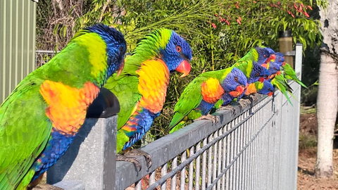 Magnetic Island Bed And Breakfast - Winery Find 6