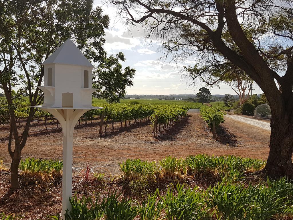 Penrice SA Winery Find