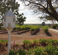 'In The Vines' Guest Cottage Barossa Valley - Winery Find