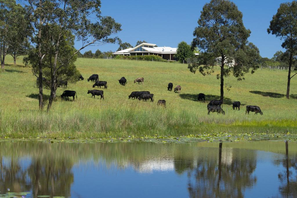 Warranulla NSW Winery Find