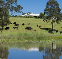 'Talumberi' 221 Trapyard Road - Winery Find