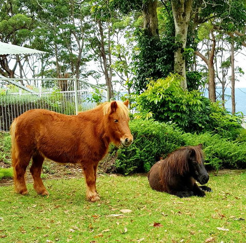 Aaronlee Retreat - Winery Find 1