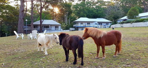Aaronlee Retreat - Winery Find 2