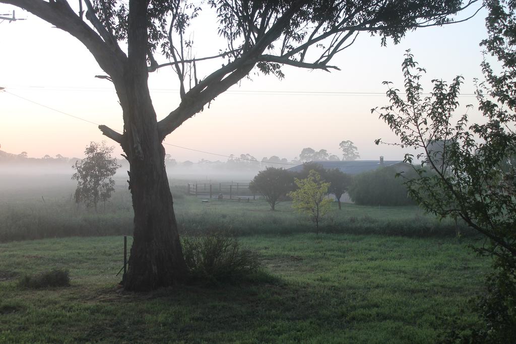 Howitt Plains VIC Winery Find
