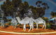 Acclaim Gateway Tourist Park - thumb 3