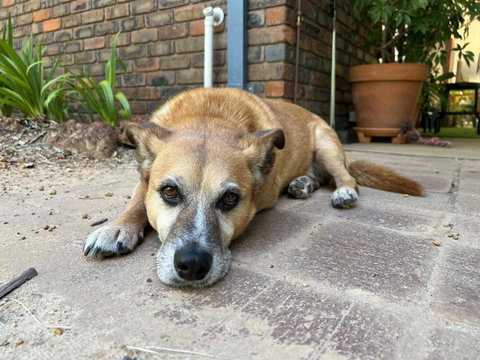 Diamond Lake Escape - Winery Find 1