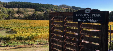 Gisborne Peak Winery Short Term Stays - Winery Find 0