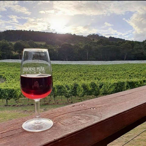 Gisborne Peak Winery Short Term Stays - Winery Find 3