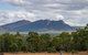 Happy Wanderer Holiday Resort The Grampians - thumb 3