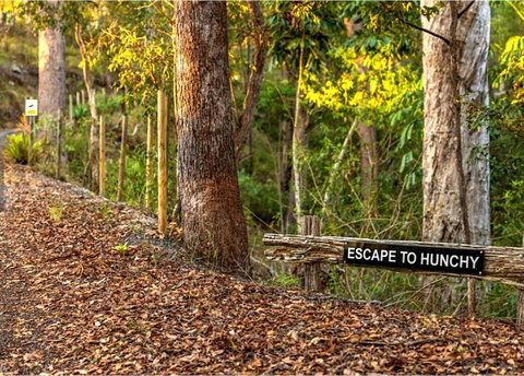 Hunchy Escape - Winery Find 3