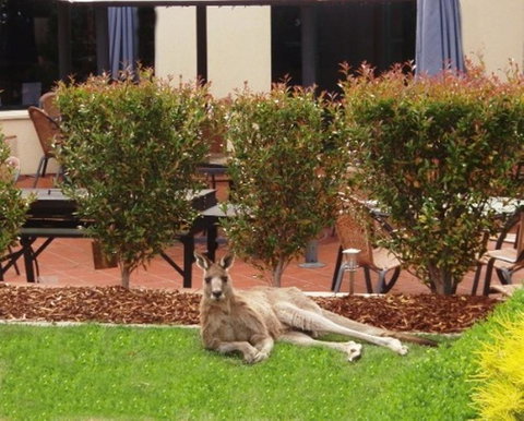 Alpha Hotel Canberra - Winery Find 1