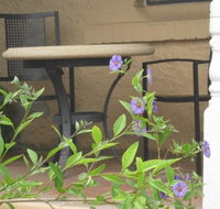 Amalie Cottage Waikerie - Winery Find
