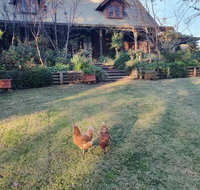 Angaston by the Winter Creek - Winery Find