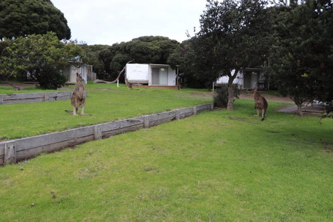 Anglesea Family Caravan Park - Winery Find 3