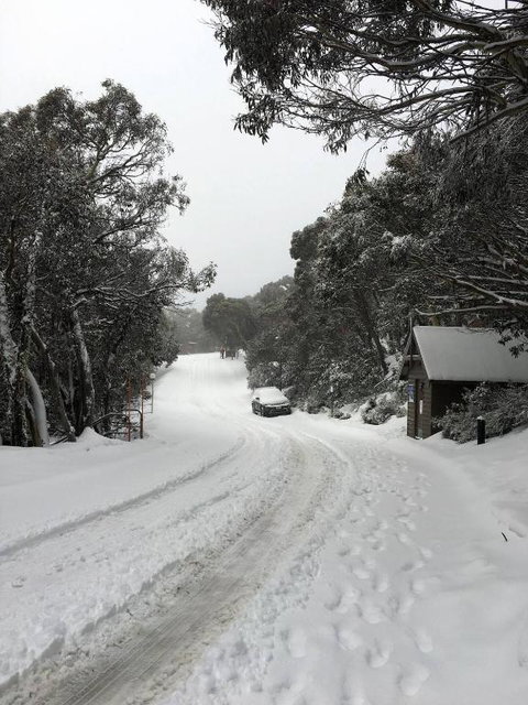 MAGNIFICENT SKIING ON MOUNT BULLER - Winery Find 3