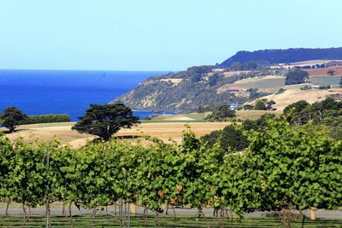 Mallavale Farm, Boat Harbour - Winery Find 0