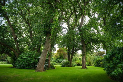 Mallavale Farm, Boat Harbour - Winery Find 2