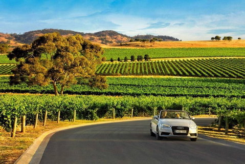Modern House Close To CBD & Adelaide Oval - Winery Find 1