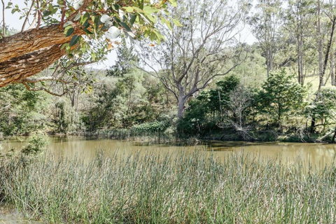 Nido, Kangaroo Valley - Winery Find 2