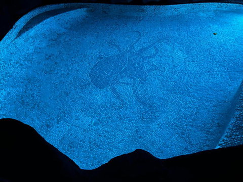 Oasis, In Leafy Whitfield. - Winery Find 1