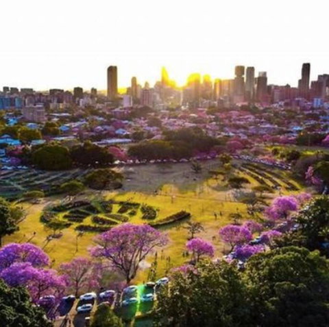 Perfect Haven In Spring Hill 2B1B And Parking - Winery Find 2