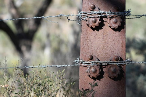 Pichi Richi Park - Winery Find 3