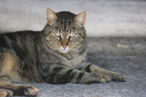 Avoca Park - Winery Find 3