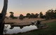 Barunah Plains Homestead - 10 Bedrooms - Sleeps 22 - thumb 1