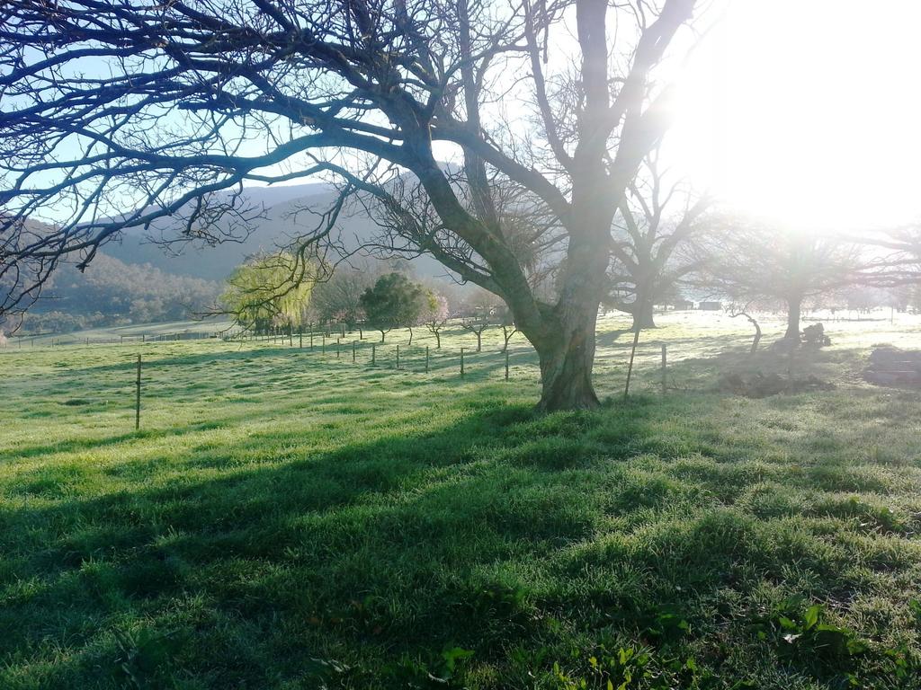 Kancoona VIC Winery Find