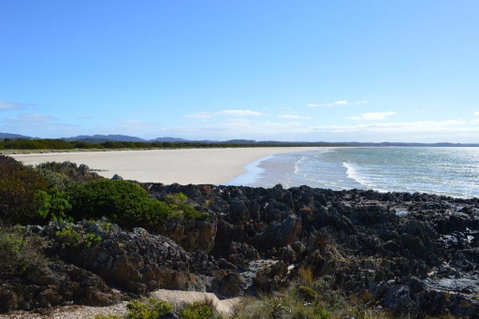 Rocky Cape Retreat - Winery Find 2
