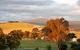 Rose Cottage Yarra Glen - thumb 1