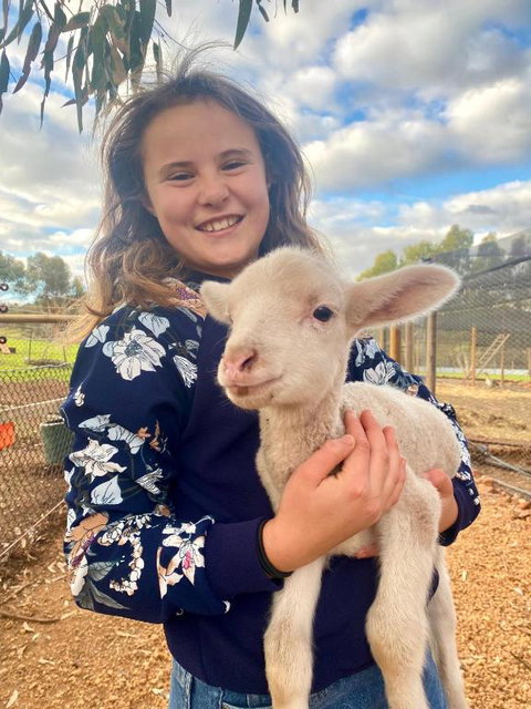 Sandalwood Downs Fabulous Farm Stay TOODYAY - Winery Find 2