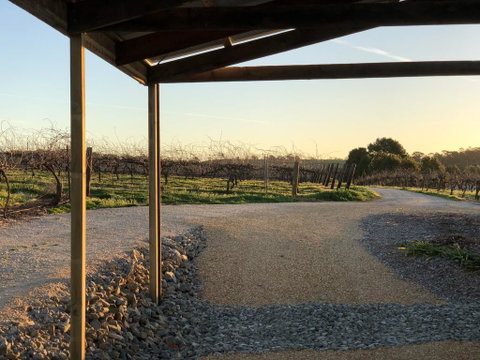 Bed In A Shed Too - Winery Find 3