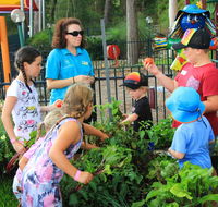 BIG4 Koala Shores Holiday Park - Winery Find