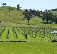 Blue House at Mountainside Wines - Winery Find