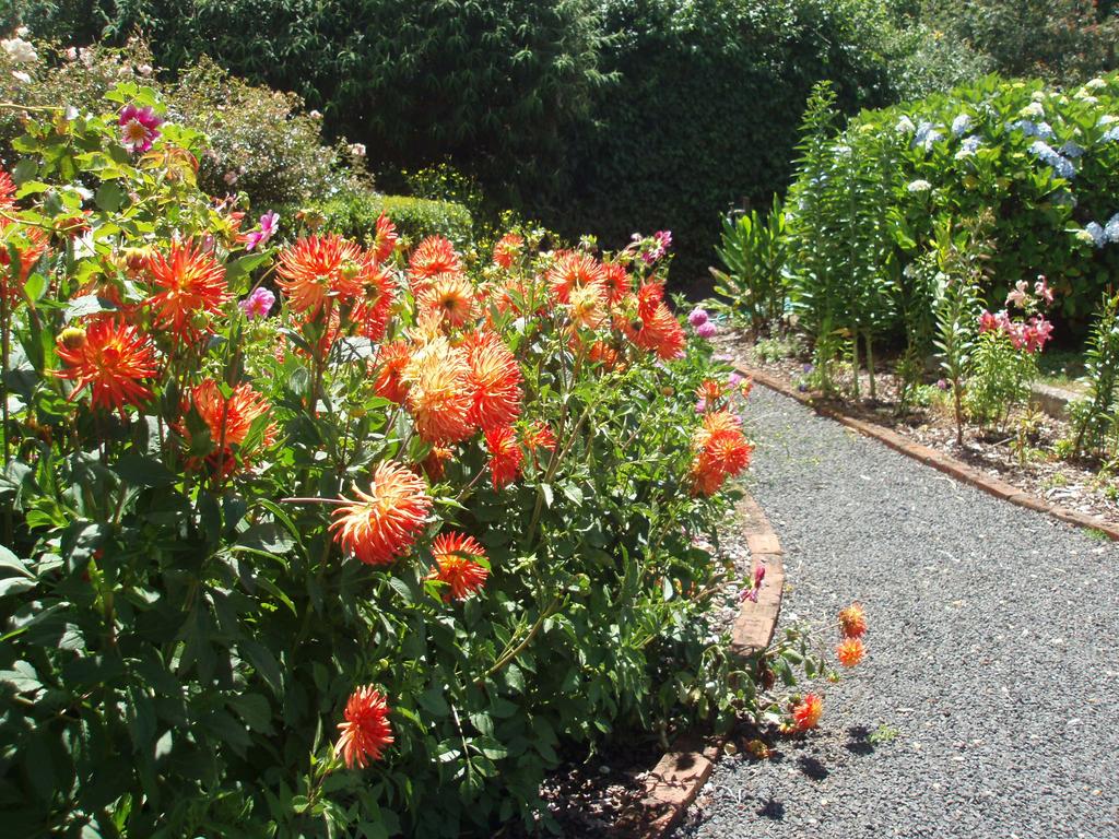 Boat Harbour TAS Winery Find