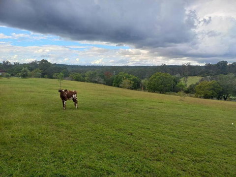 Maison De Lavande Farmstay - Winery Find 1