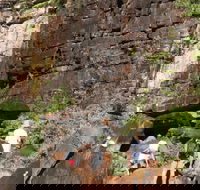 3-Day Kakadu 4WD Camping Safari from Darwin - Winery Find