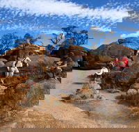 The Big Wave Rock Private Day Tour - Winery Find