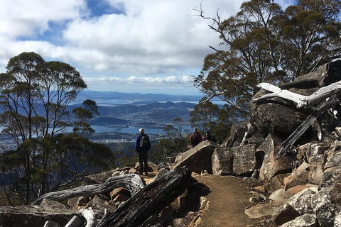 Kunanyi / Mt Wellington Explorer Bus - 2 Hour Return Tour - Winery Find 0