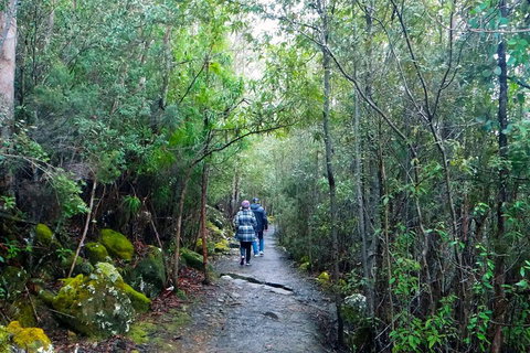 Kunanyi / Mt Wellington Explorer Bus - 2 Hour Return Tour - Winery Find 2